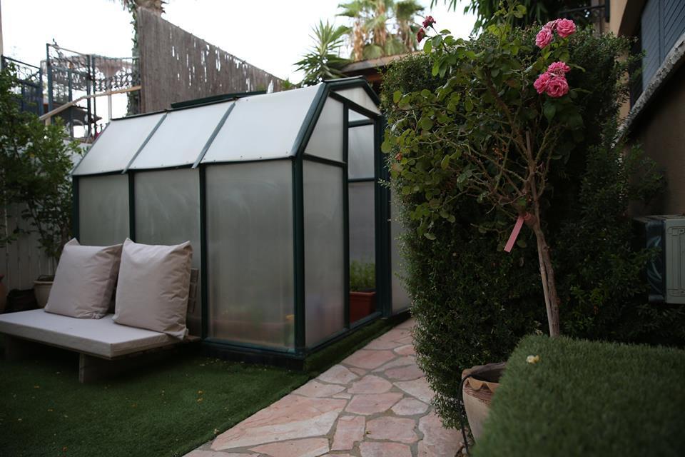 Zimmer You Dreamed Of Arad Extérieur photo